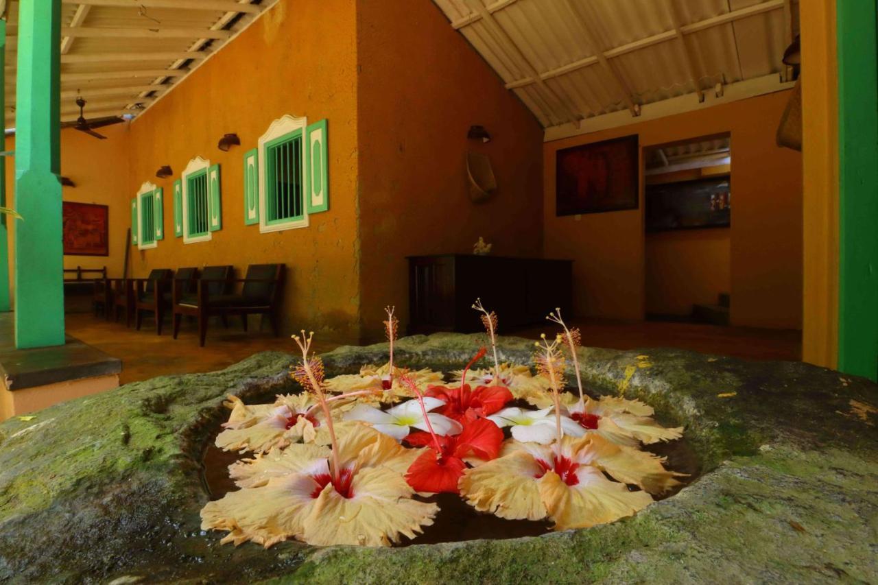 Hotel Susantha Garden Bentota Kültér fotó
